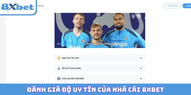 Đánh giá độ uy tín thực tế của nhà cái 8XBET