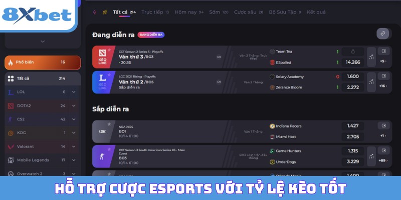 Hỗ trợ cược esports với tỷ lệ kèo tốt